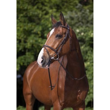 Uzdečka Riding World a.k.n.