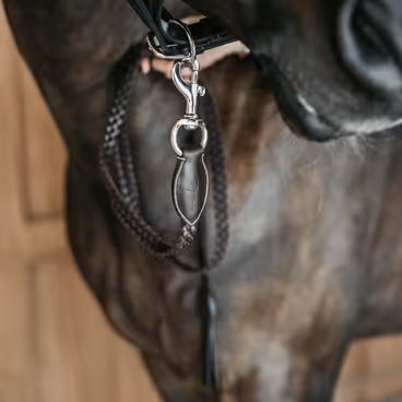 Vodítko kožené Dy'on Working Plaited