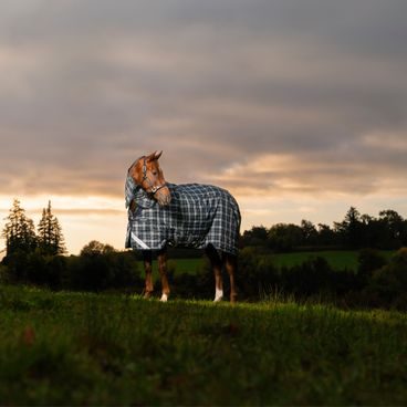 Krční díl k dece Horseware Rhino 0g