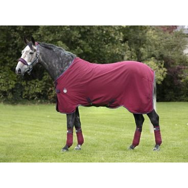 Deka lehká Bucas&EQS Freedom Twill sheet stájová