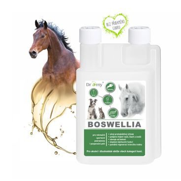 Dromy Boswellia liquid 1 l