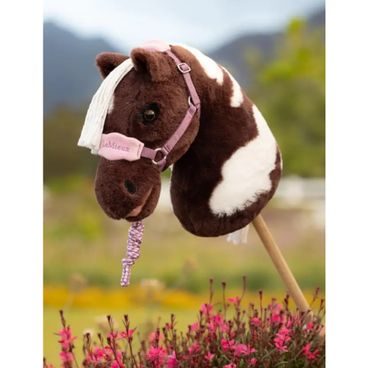 Toy Rider Outfit Lemieux Kolekce 2026