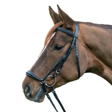 Uzdečka W Star hanoverský nánosník DOPRODEJ