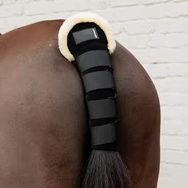 Transportní ochrana ocasu Kentucky s beránkem