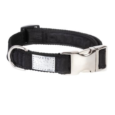 Obojek Equest Shine Chrom Finish DOPRODEJ