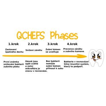 Qchefs Pamlsky Dental Cracker Esential 63g