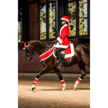 Hračka pro koně Imperial Riding Kolekce 2024/25