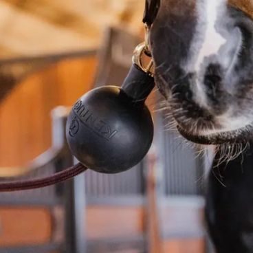 Deka termo stájová Kentucky Comfort 200g