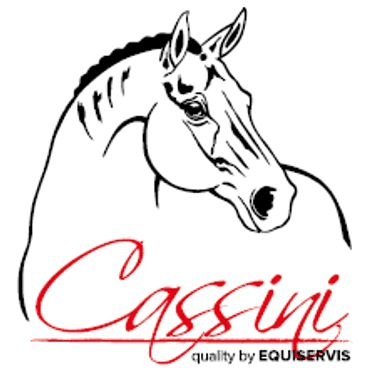 Cassini