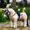 Podsedlová dečka LeMieux Toy Pony