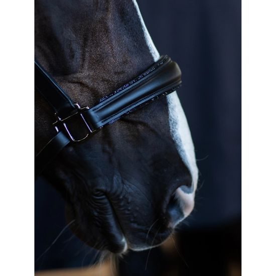 Ohlávka Equestrian Stockholm anatomic Leather Black edition Kolekce 2023/24
