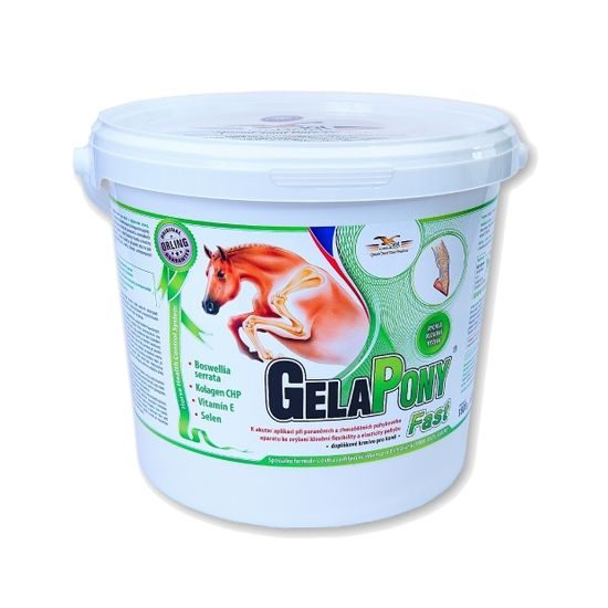 Gelapony Fast