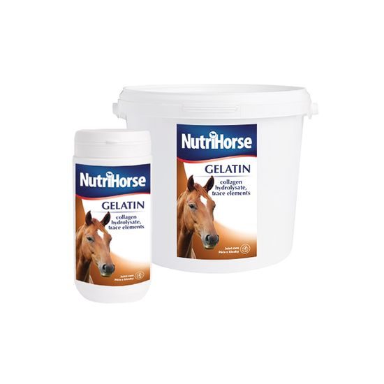 Nutri Horse Gelatin