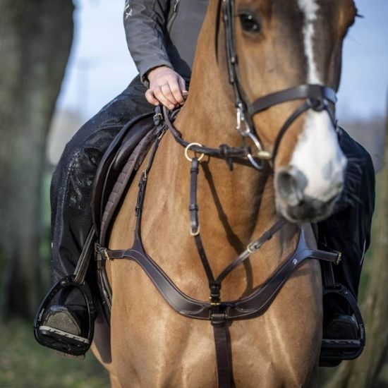 Chaps LeMieux Drytex Stormwear Waterproof