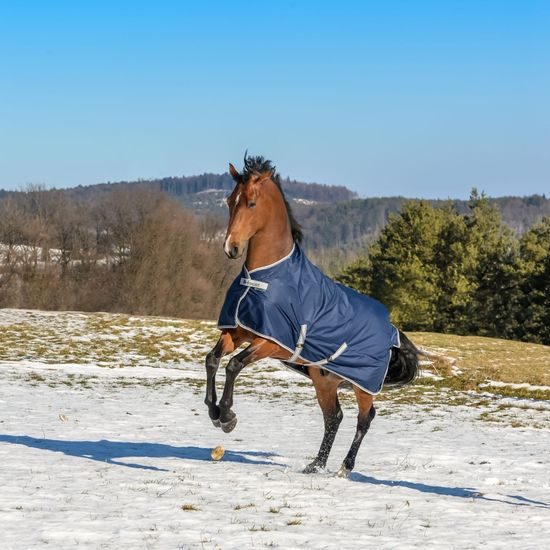 Deka výběhová termo Freedom 300g modrá KOLEKCE