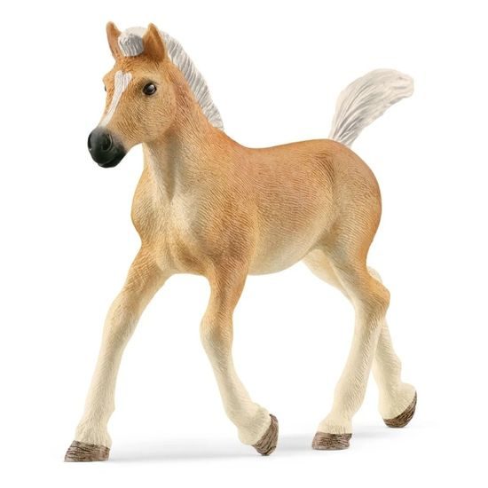 Schleich 13951 - Haflinger hříbě NEW