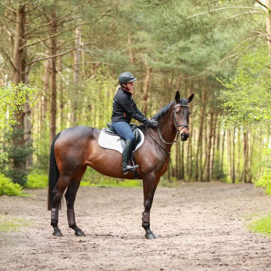 Kamaše Equilibrium Tri-zone Brushing