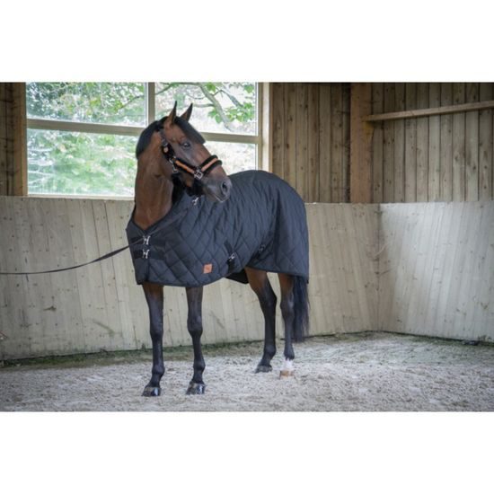 Deka stájová Equitheme Padded 200g