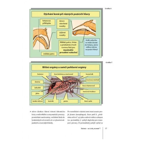 Publ Bender a Ritter Praktická příručka Zdraví koně