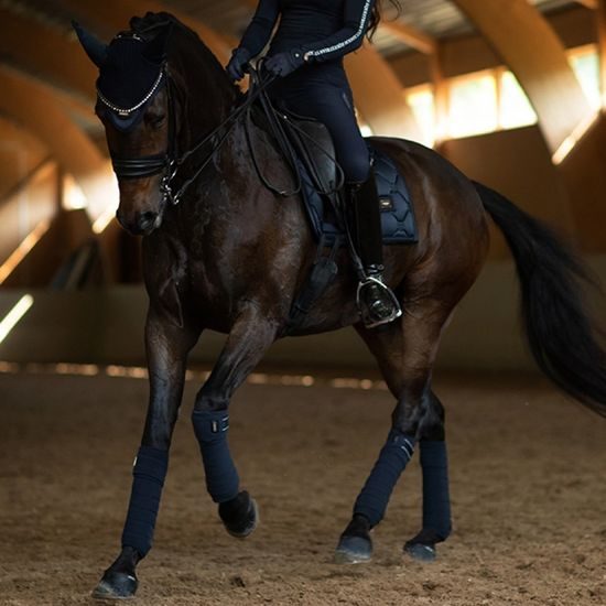 Čabraka na uši Equestrian Stockholm Modern Tech Navy KOLEKCE 2023