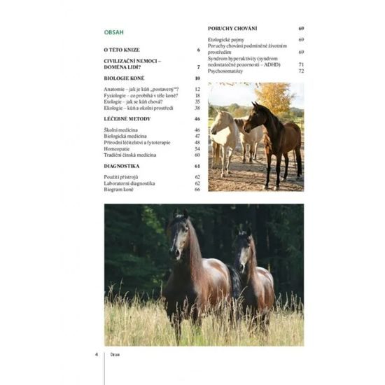 Publ Bender a Ritter Praktická příručka Zdraví koně