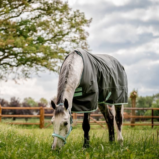 Deka výběhová Horseware Amigo Hero Ripstop 50g