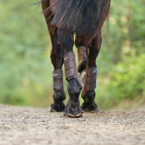 Kamaše Equilibrium Tri-zone Brushing