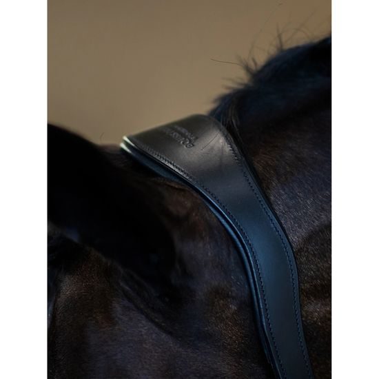 Ohlávka Equestrian Stockholm anatomic Leather Black edition Kolekce 2023/24
