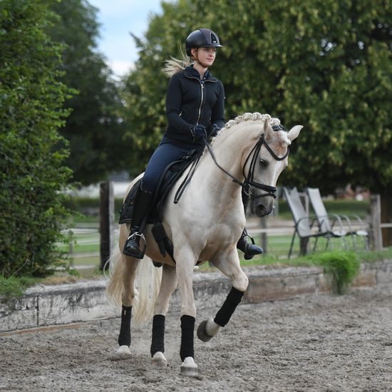 Fleece bandáže Equestrian Stockholm black gold KOLEKCE 2023