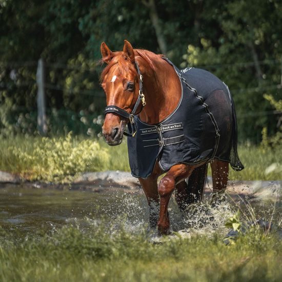 Deka síťovaná Back on Track SIENNA Cooler 2188