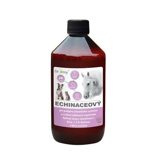 Dromy Echinaceový sirup 1 l