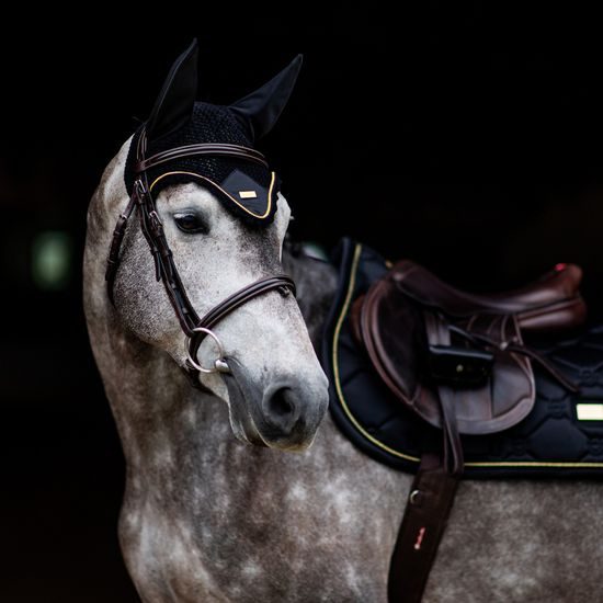 Čabraka na uši Equestrian Stockholm Black Gold KOLEKCE 2023