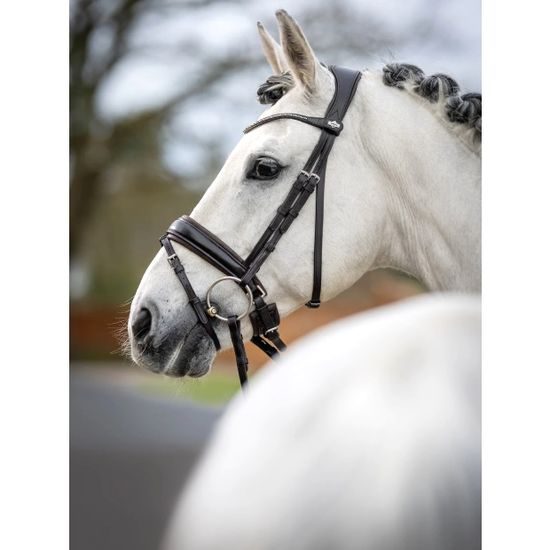 Uzdečka LeMieux Dressage Classic švédský komb. nánosník