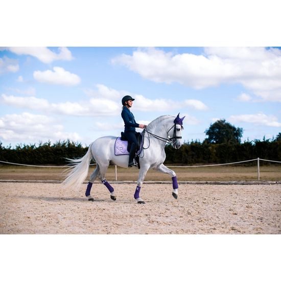 Podsedlová dečka Equestrian Stockholm Lavender