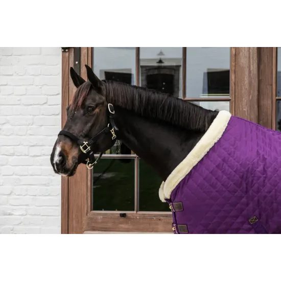 Deka termo Kentucky Show Rug stájová 160g