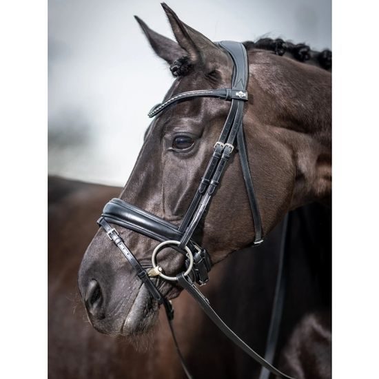 Uzdečka LeMieux Dressage Classic švédský komb. nánosník