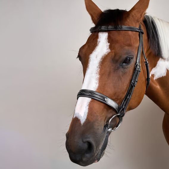 Uzdečka Dy'on Cavesson Hunter Noseband USKOAK