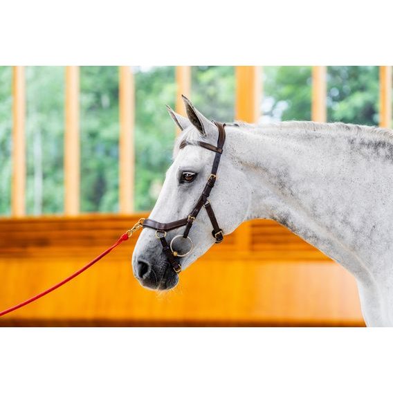 Uzdečka Horseware Micklem 2 Multi DOPRODEJ