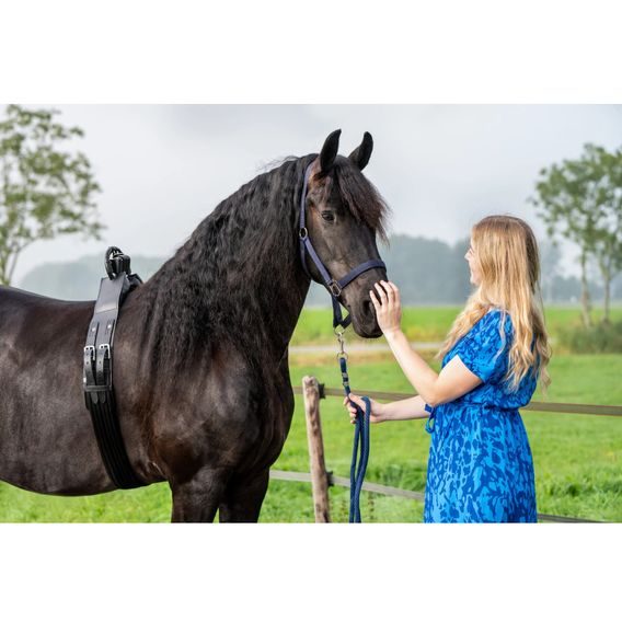 Birth Alarm Lite 2.0