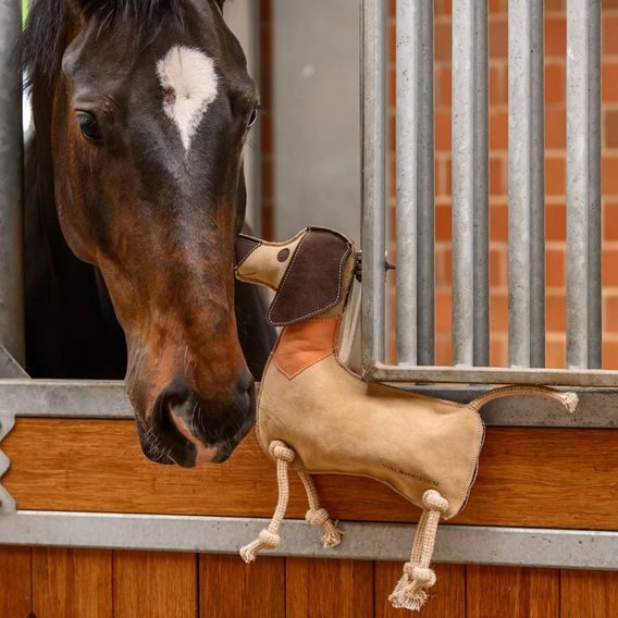 Hračka pro koně W pes Dieter