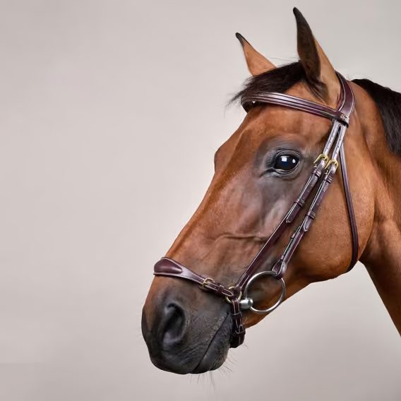 Uzdečka Dy'on Adjustable Drop Noseband DYAAAE