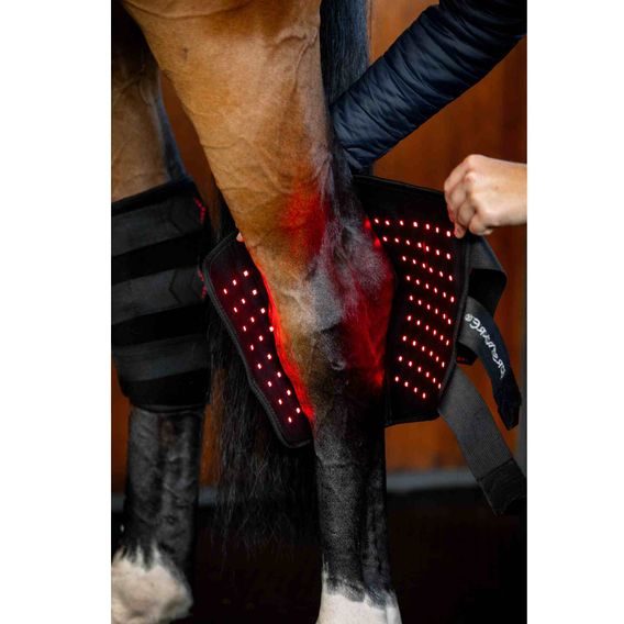 Chránič hlezenní Horseware® LED Red Light Therapy