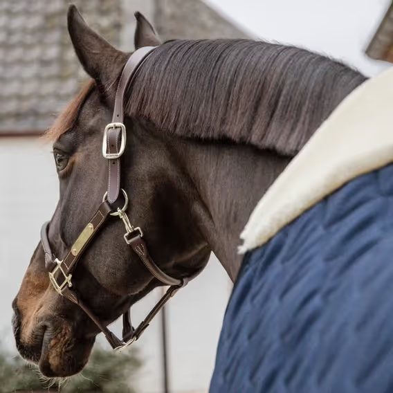 Deka termo stájová Kentucky Comfort 200g