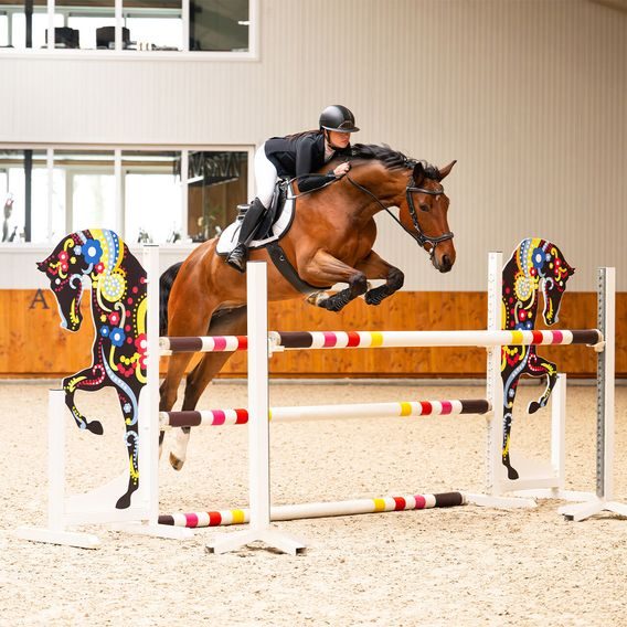 Uzdečka PresTeq FaySport Classic