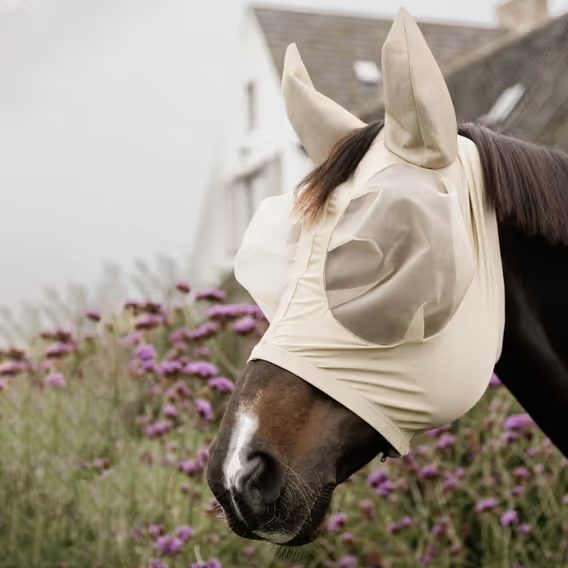 Maska na hlavu Kentucky Slim Fit