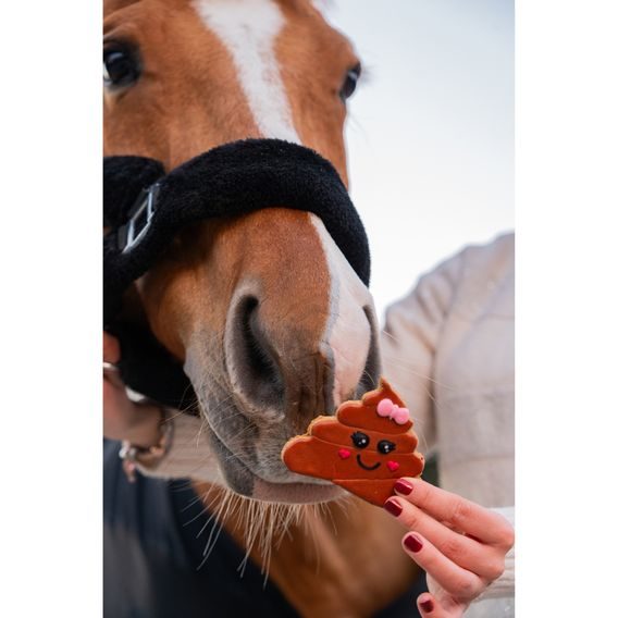 Pamlsky Candy Horse Cookies Valentine's day 30-40g