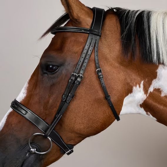 Uzdečka Dy'on Cavesson Hunter Noseband USKOAK