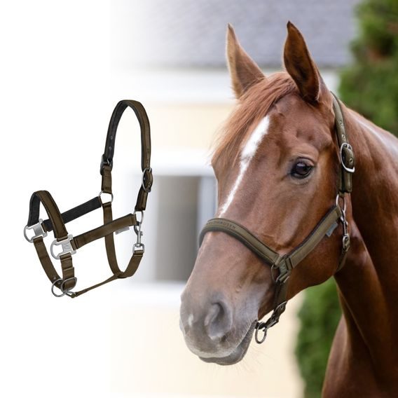 Ohlávka W Athletic Kolekce 2025/26