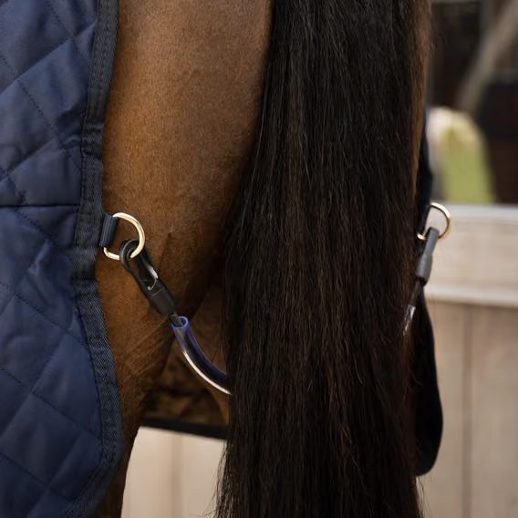 Deka termo Kentucky Show Rug stájová 160g Limited Edition