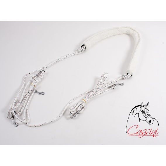 Lonžovací postroj Cassini DOPRODEJ